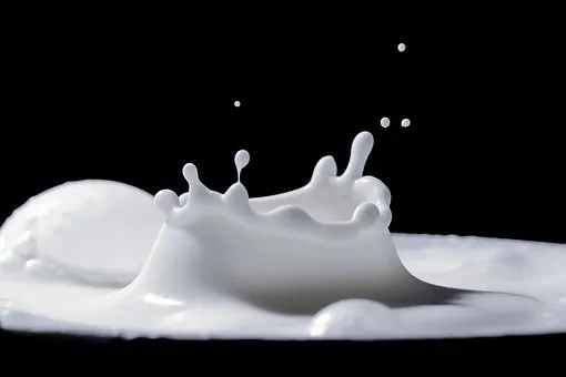 Фермера в Карелии оштрафовали за сомнительное молоко 