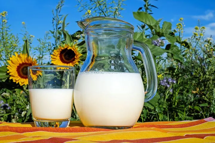 БУТБ готова помочь Карелии в реализации молочной продукции через биржевые торги 